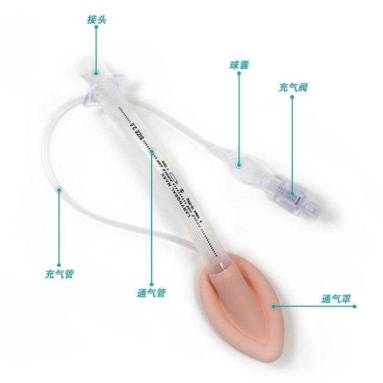 1724721982331354.jpg u=3503422041,3604261719&fm=199&app=68&f=JPEG_w=750&h=750&s=F9A03D720B427E4F54C940C50100F0B2.jpg