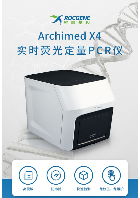 1729128615810443.png 1.png