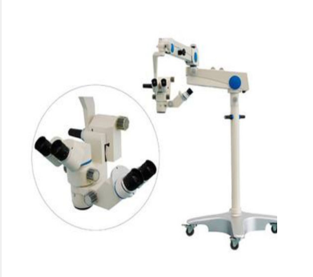 1733302393326280.png jfradrvflptrcuxyrtrymwew.png