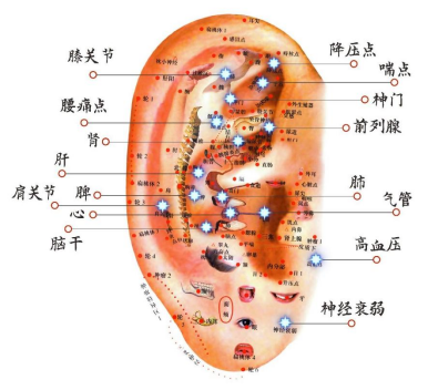 1735192796268355.png image.png