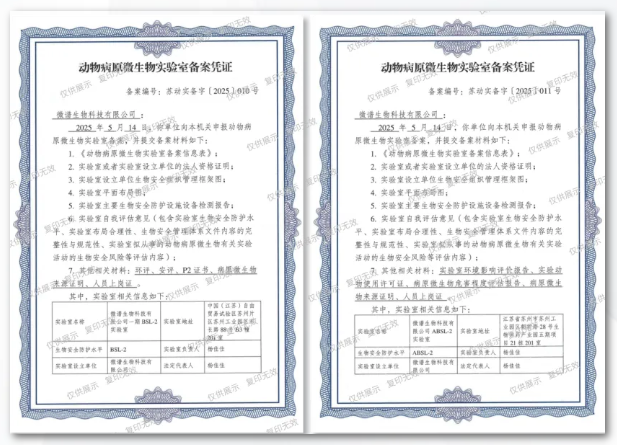 3371329a2d83ec415cae195d0bee7681_202506091601353020.png