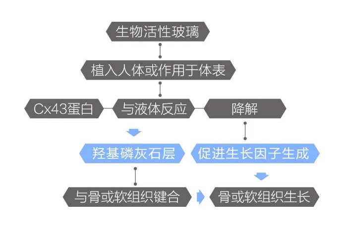 1758161289652546.png 圖片2.png