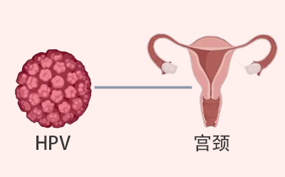 1758851214704205.png 640.png