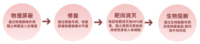 1758851364173767.png 2.png