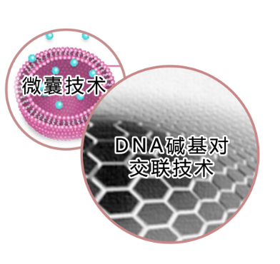 1758851545668894.png 1.png