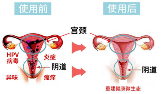 1758851646992496.png 1.png