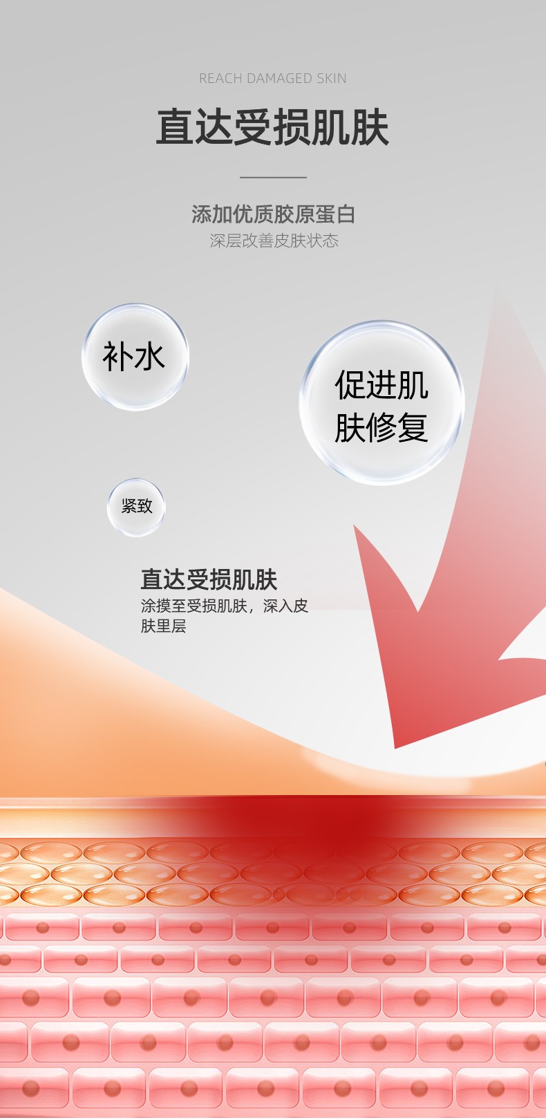 1759220935101408.jpg 微信圖片_20250930161104_165_133_06.jpg