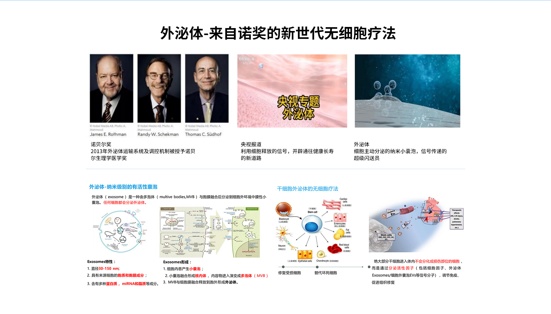 干細(xì)胞生發(fā)